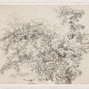"Verdant Whispers in Graphite" Framed Art Print ARTWORK - framed print Celadon Art