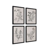 "Basset" Framed Art Set by Ksenia Sizaya ARTWORK - framed print Renwil