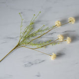 Faux Melaleuca Cream Stem faux stem Abigail Ahern (Aesthetic Movement)