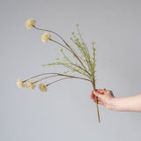 Faux Melaleuca Cream Stem faux stem Abigail Ahern (Aesthetic Movement)