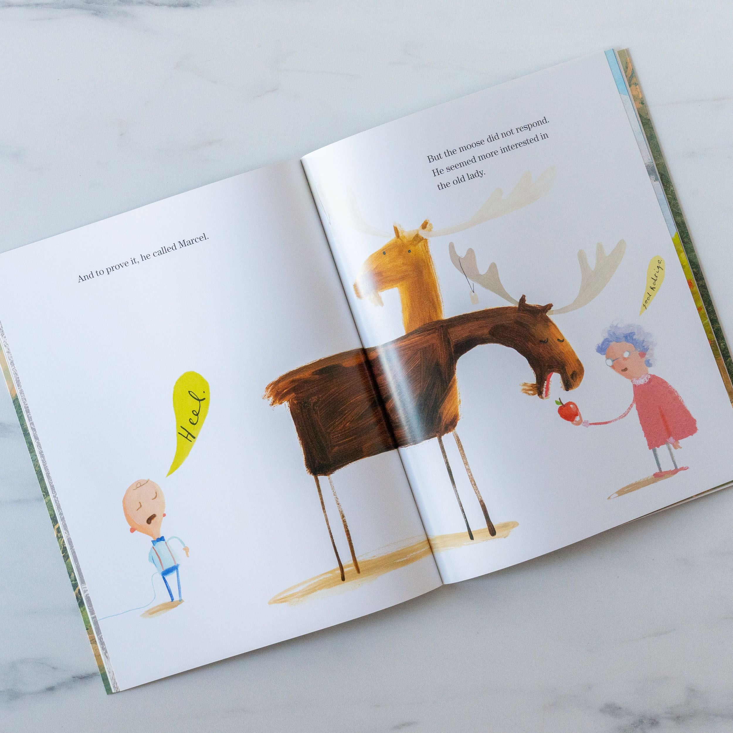 "This Moose Belongs To Me" by Oliver Jeffers FINNBIRD - book Raincoast Books