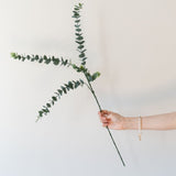 Faux Eucalyptus Branch faux stem Indaba
