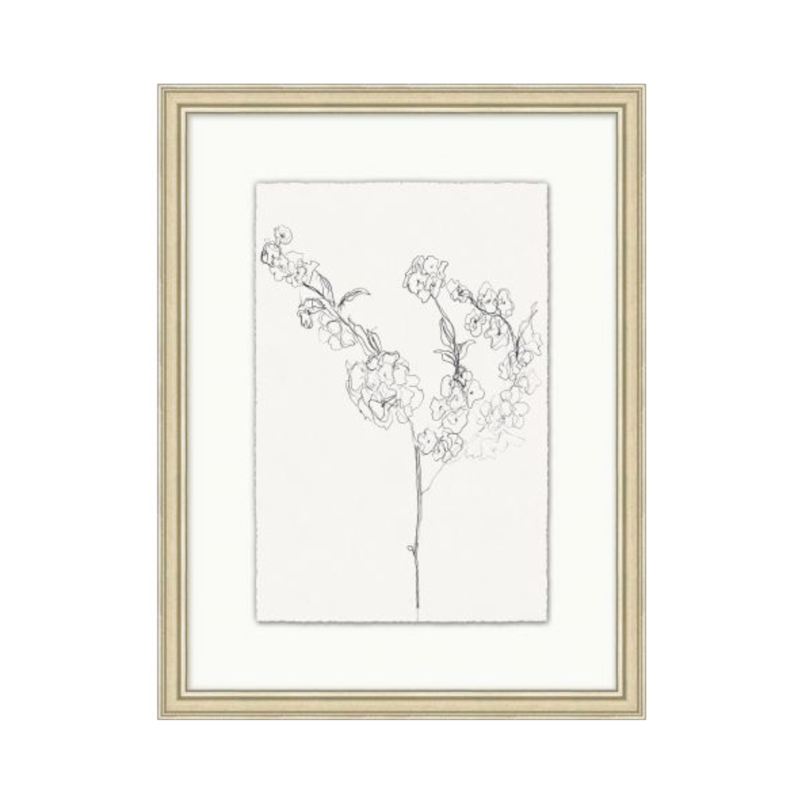 "Floral Sketch" Framed Art Print ARTWORK - framed print Wendover Art Group