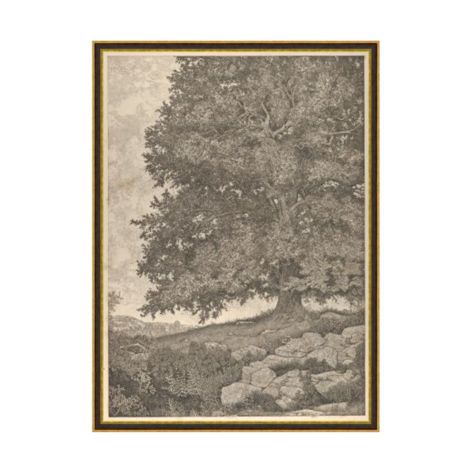 "Wise Old Tree" Framed Art Print ARTWORK - framed print Wendover Art Group