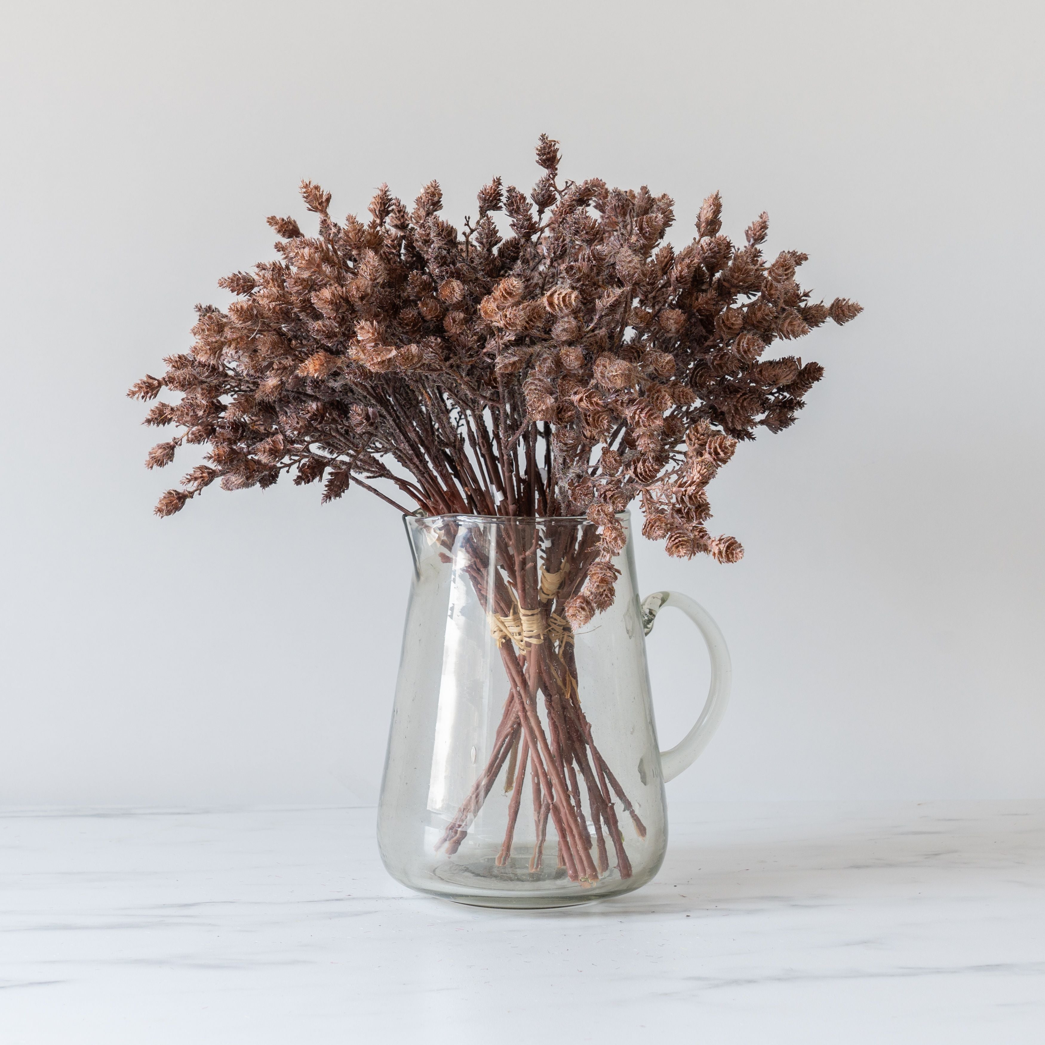 Ibina Pitcher pitcher Indaba