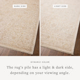 Chris Loves Julia x Loloi Palma Ivory / Sand Rug