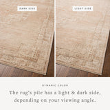 Chris Loves Julia x Loloi Palma Spice / Natural Rug