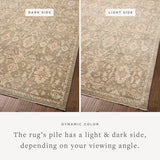 Chris Loves Julia x Loloi Palma Lagoon / Natural Rug