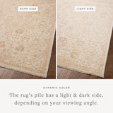 Chris Loves Julia x Loloi Palma Natural / Spice Rug
