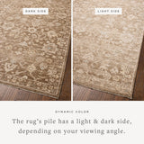 Chris Loves Julia x Loloi Palma Brown / Earth Rug