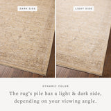 Chris Loves Julia x Loloi Palma Wheat / Bark Rug