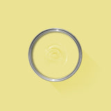 Farrow & Ball Butterweed No. 9802 - Archive Collection PAINT - Farrow & Ball Farrow & Ball