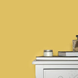 Farrow & Ball Ciara Yellow No. 73 - Archive Collection PAINT - Farrow & Ball Farrow & Ball