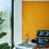 Farrow & Ball Dutch Orange No. W76 - Archive Collection PAINT - Farrow & Ball Farrow & Ball