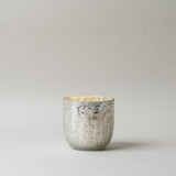 Balsam & Cedar Crackle Glass Candle CHRISTMAS 2025 Illume (DYA) Large