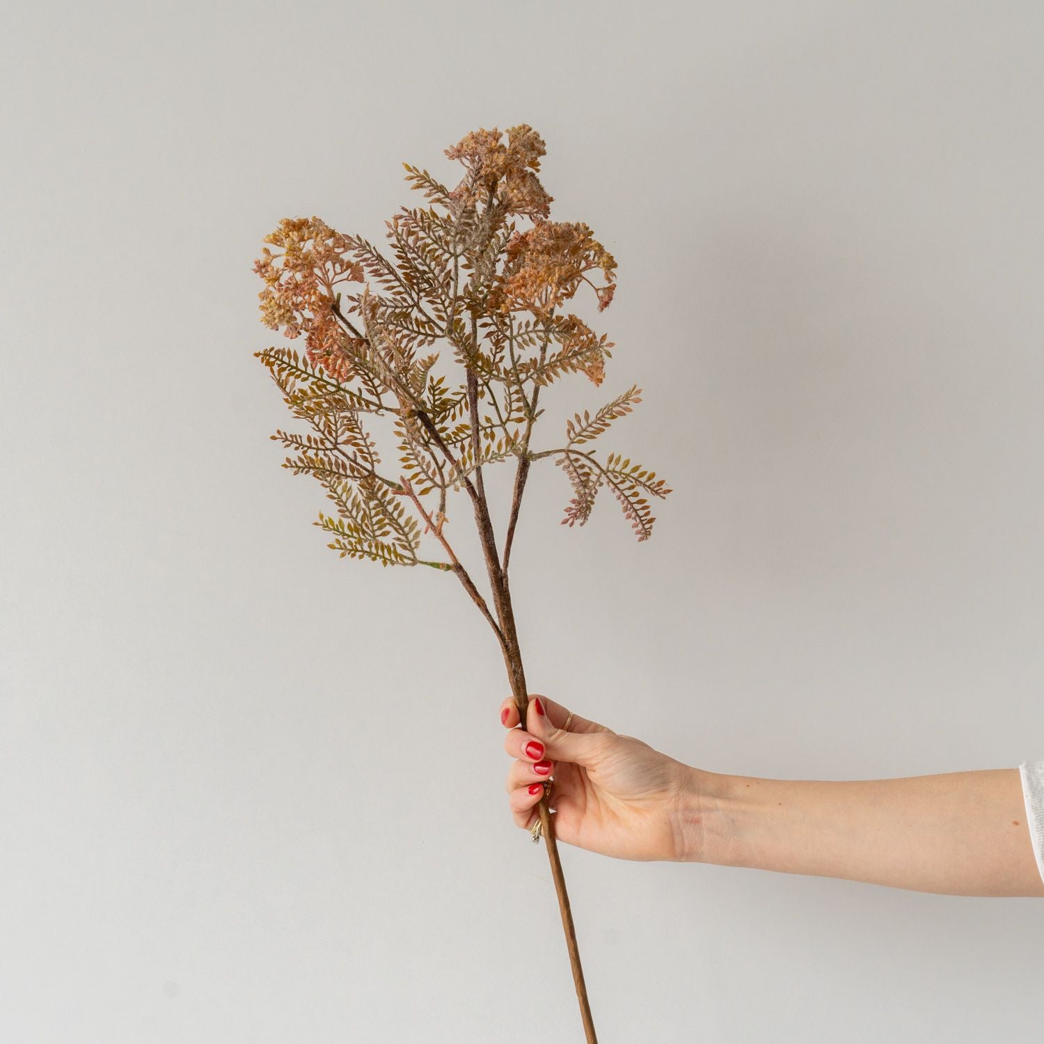 Faux Hemlock Stem faux stem Abigail Ahern (Aesthetic Movement)