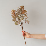 Faux Hemlock Stem faux stem Abigail Ahern (Aesthetic Movement)
