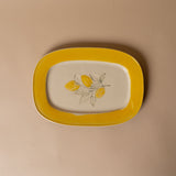 Stoneware Lemons Plate dish Creative Co-op (DYA)
