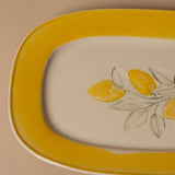 Stoneware Lemons Plate dish Creative Co-op (DYA)