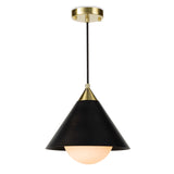 STORE FIXTURE - Hilton Pendant - Black/Brass LIGHTING - store fixture Regina Andrew