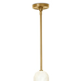Salon Pendant (Natural Brass) Pendants Regina Andrew