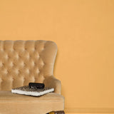 Farrow & Ball Orangery No. 70 - Archive Collection PAINT - Farrow & Ball Farrow & Ball