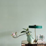 Farrow & Ball Palm No. CC4 - Archive Collection PAINT - Farrow & Ball Farrow & Ball