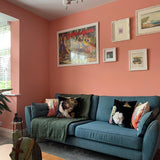 Farrow & Ball Blooth Pink No. 9806 - Archive Collection PAINT - Farrow & Ball Farrow & Ball