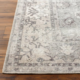 Becki Owens Davina Sage Rug 0-RUGS-patterned Surya