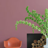 Farrow & Ball Crimson Red No. W93 - Archive Collection PAINT - Farrow & Ball Farrow & Ball