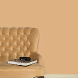 Farrow & Ball Dutch Pink No. 62 - Archive Collection PAINT - Farrow & Ball Farrow & Ball