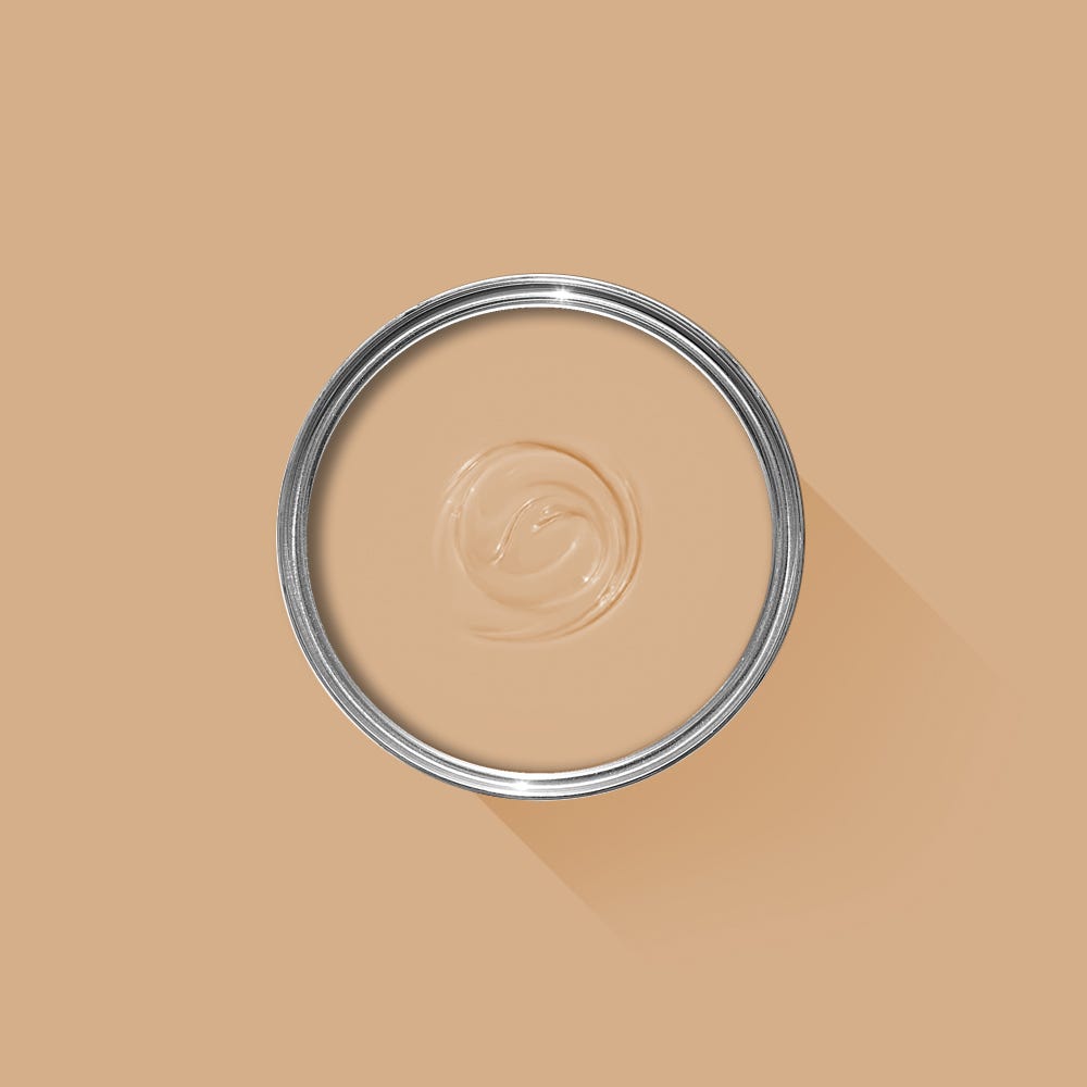 Farrow & Ball Dutch Pink No. 62 - Archive Collection PAINT - Farrow & Ball Farrow & Ball