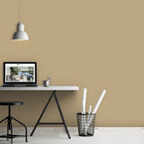 Farrow & Ball Biscuit No. 38 - Archive Collection PAINT - Farrow & Ball Farrow & Ball