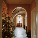 Farrow & Ball Entrance Hall PInk No. 61 - Archive Collection PAINT - Farrow & Ball Farrow & Ball