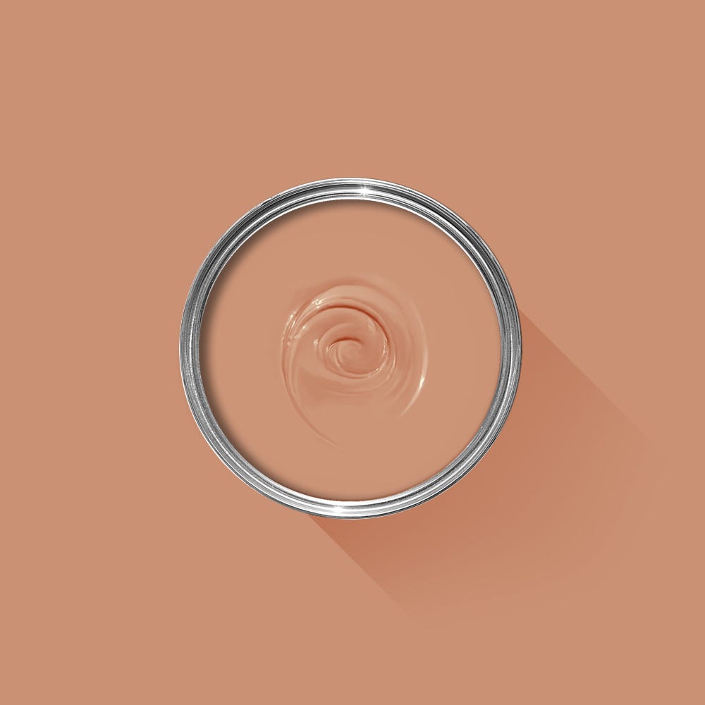 Farrow & Ball Menagerie No. 63 - Archive Collection PAINT - Farrow & Ball Farrow & Ball