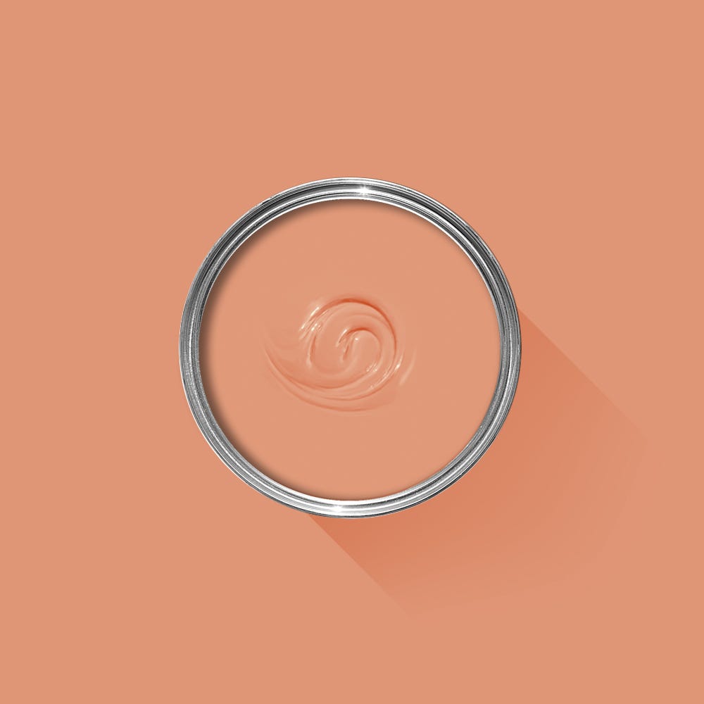 Farrow & Ball Ointment Pink No. 21 - Archive Collection PAINT - Farrow & Ball Farrow & Ball