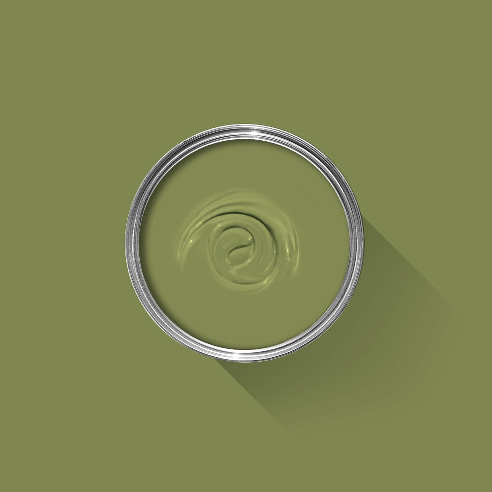 Farrow & Ball Blanc Sap Green No. W56 - Archive Collection PAINT - Farrow & Ball Farrow & Ball