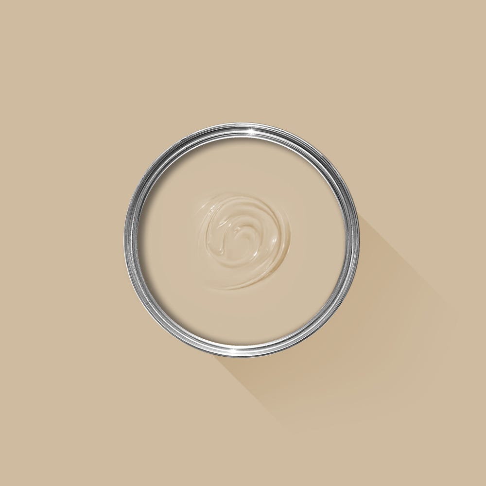 Farrow & Ball Savage Ground No. 213 - Archive Collection PAINT - Farrow & Ball Farrow & Ball