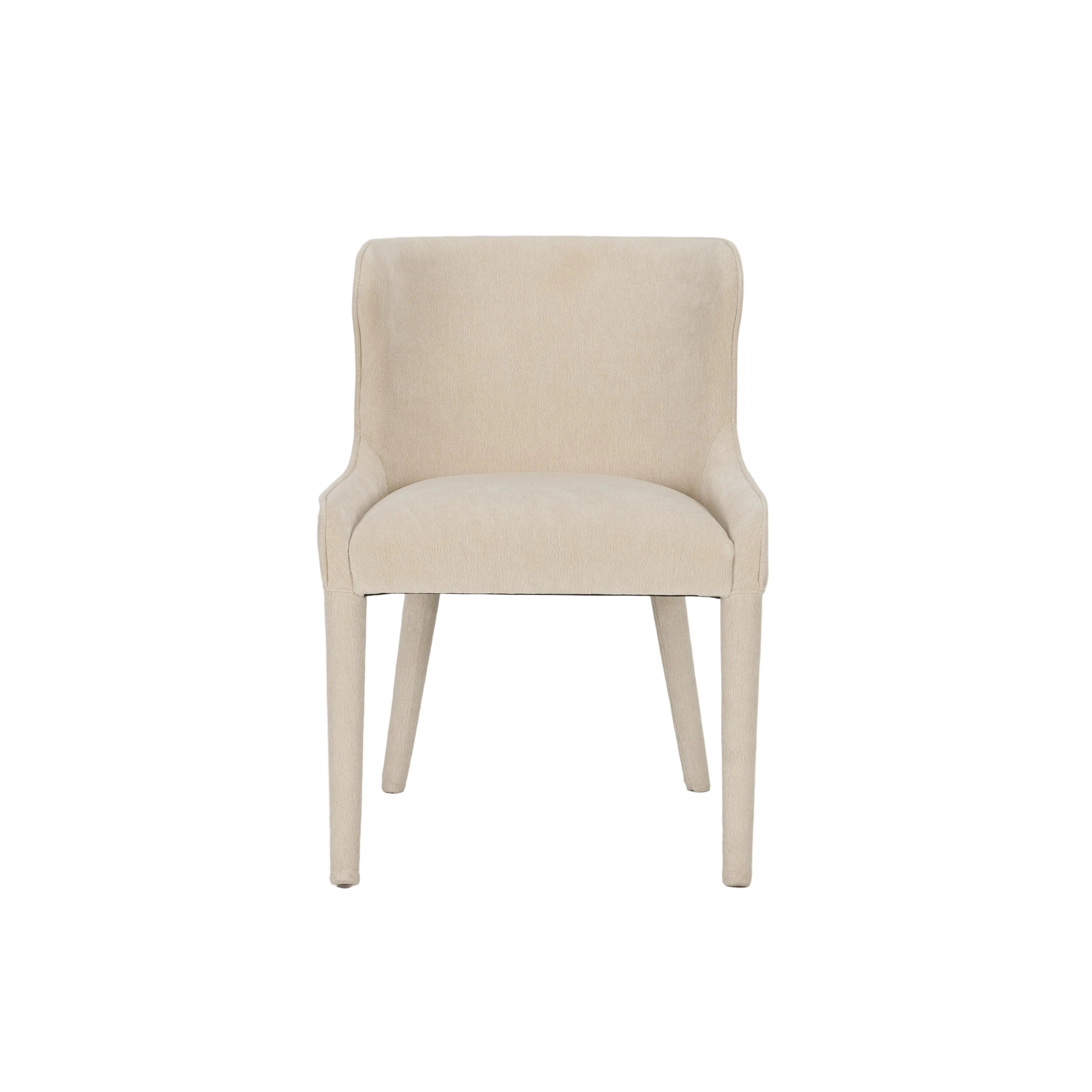 Norlan Dining Chair - set of 2 FURNITURE - dining chairs Mercana