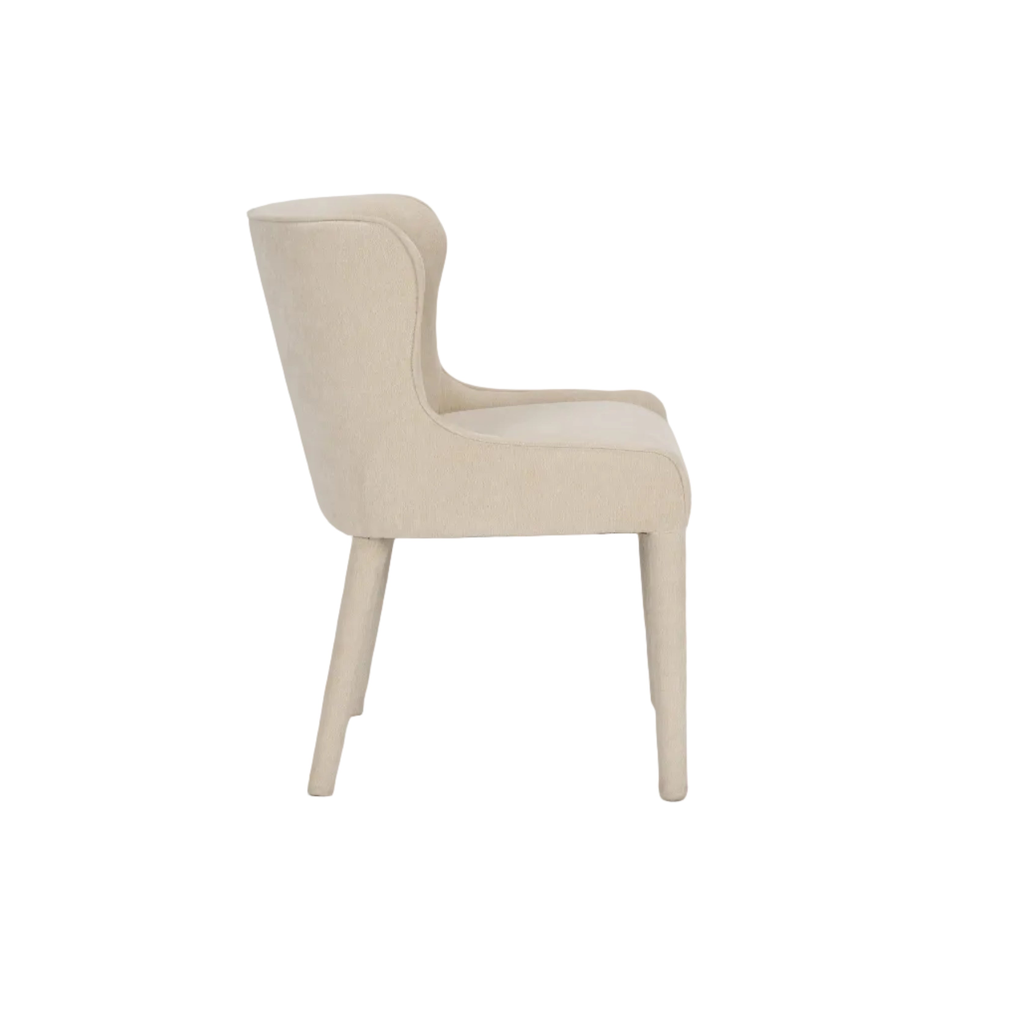 Norlan Dining Chair - set of 2 FURNITURE - dining chairs Mercana