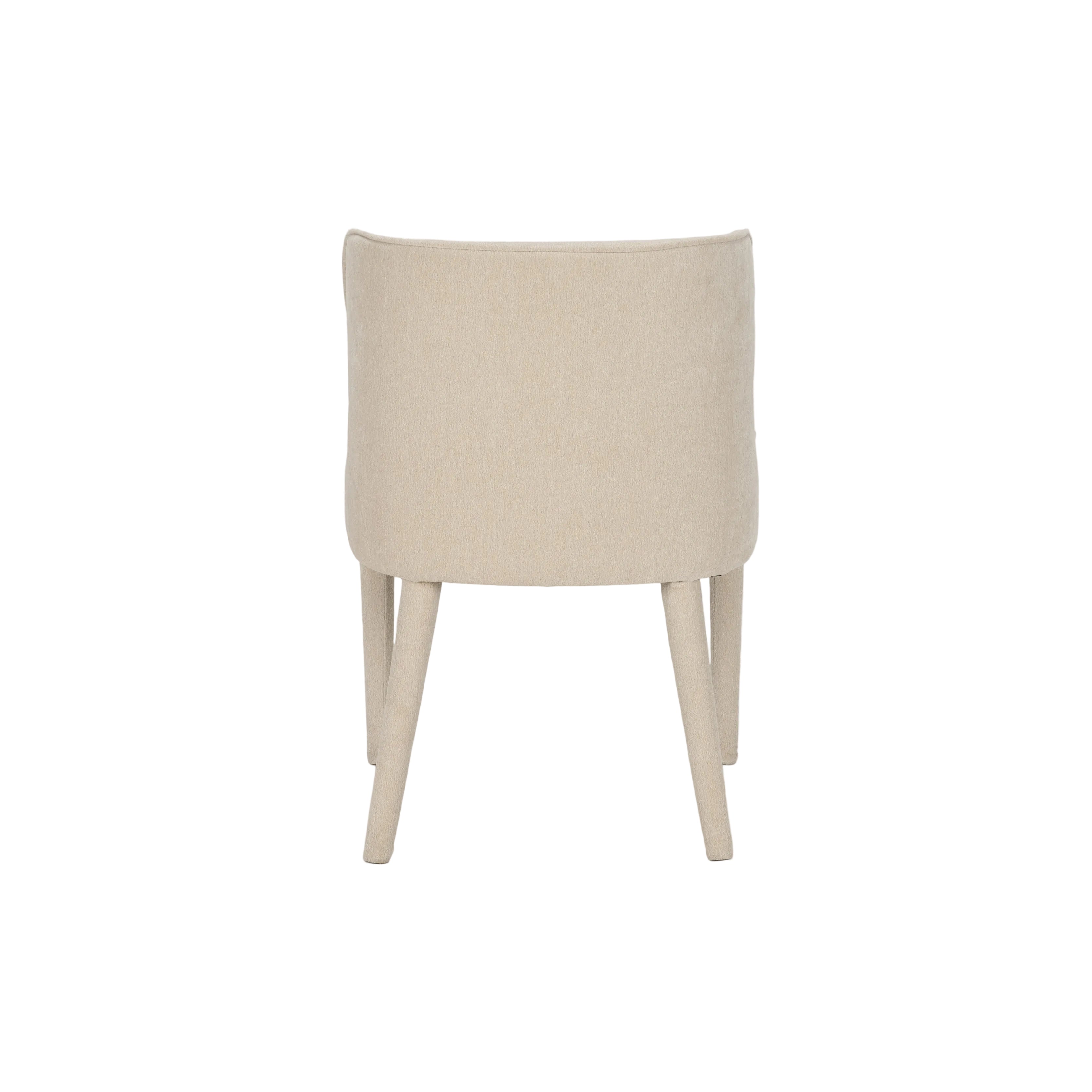 Norlan Dining Chair - set of 2 FURNITURE - dining chairs Mercana
