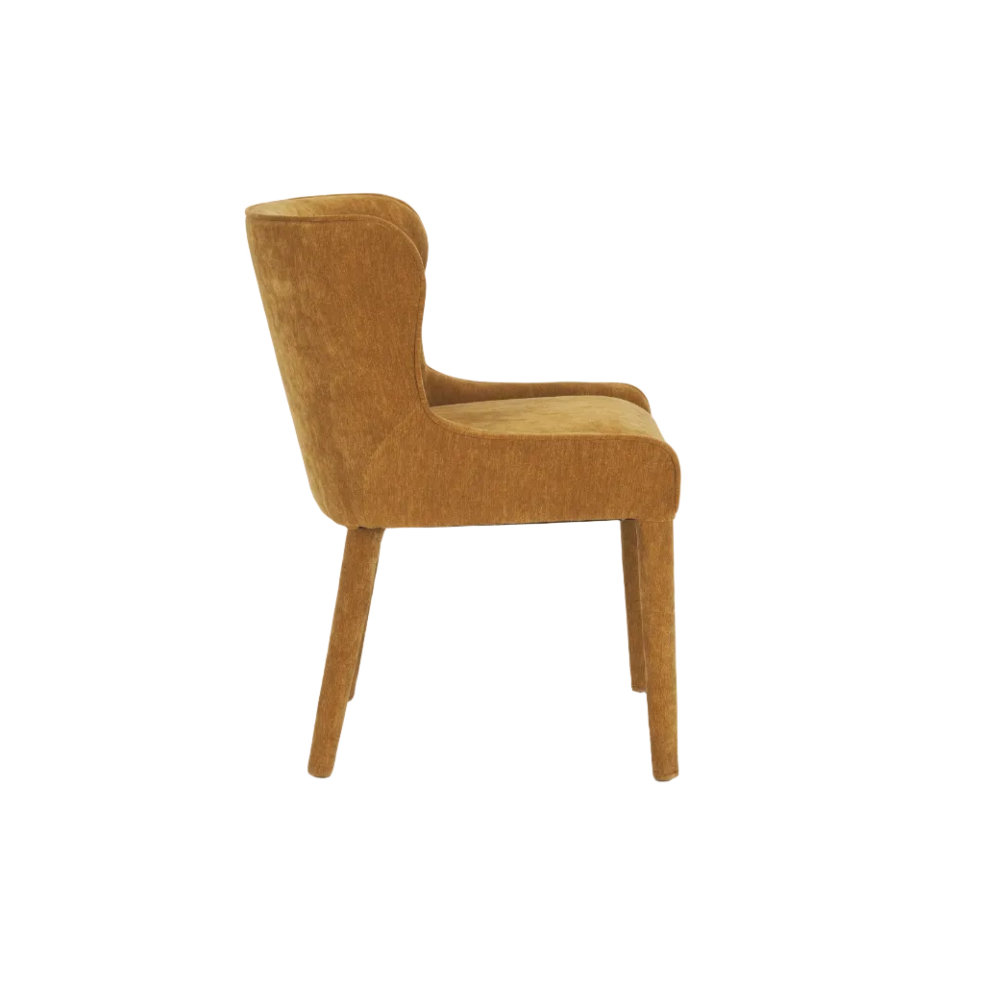 Norlan Dining Chair - set of 2 FURNITURE - dining chairs Mercana
