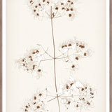 "Botanical Sketch I" Framed Art Print ARTWORK - framed print Celadon Art Medium