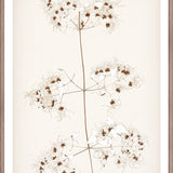 "Botanical Sketch I" Framed Art Print ARTWORK - framed print Celadon Art Small