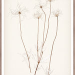 "Botanical Sketch III" Framed Art Print ARTWORK - framed print Celadon Art Medium