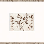 "Flock in Flight" Framed Art Print ARTWORK - framed print Celadon Art Glass Framed