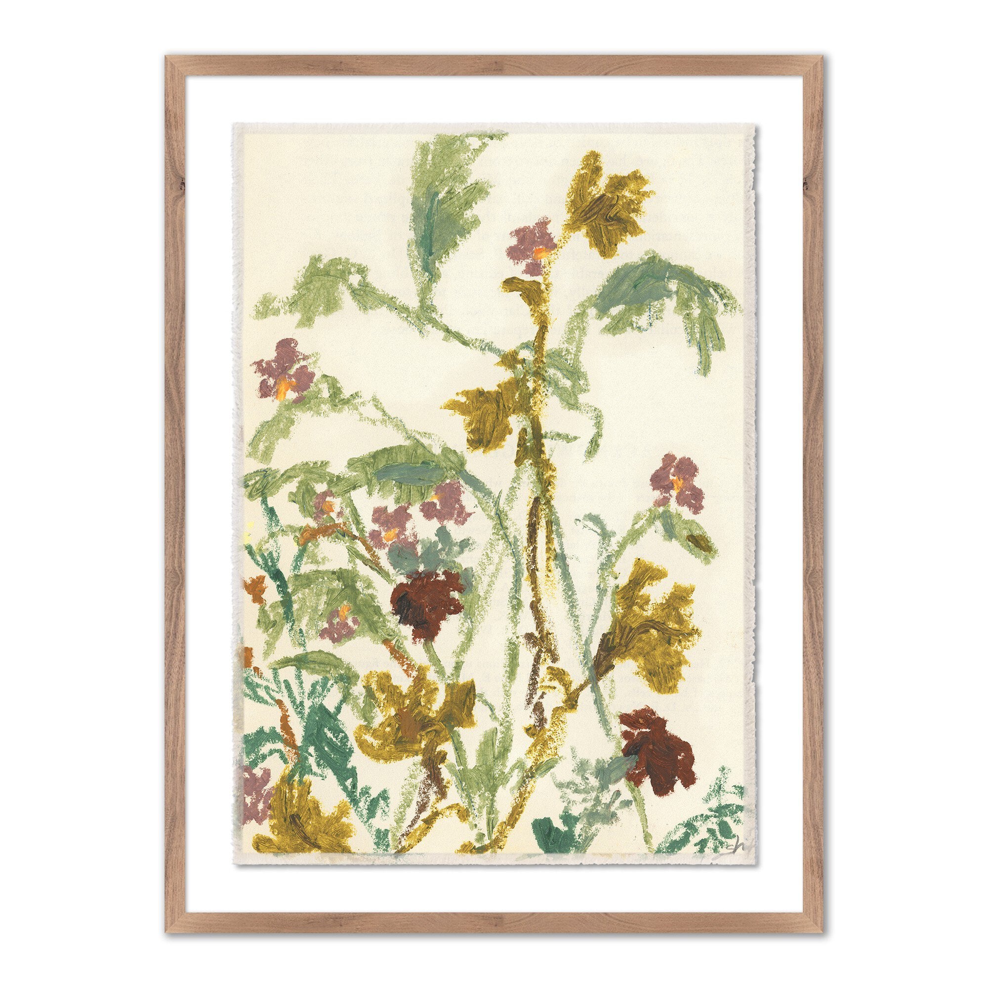 "Meadow Rue 1" by Shaina Page
