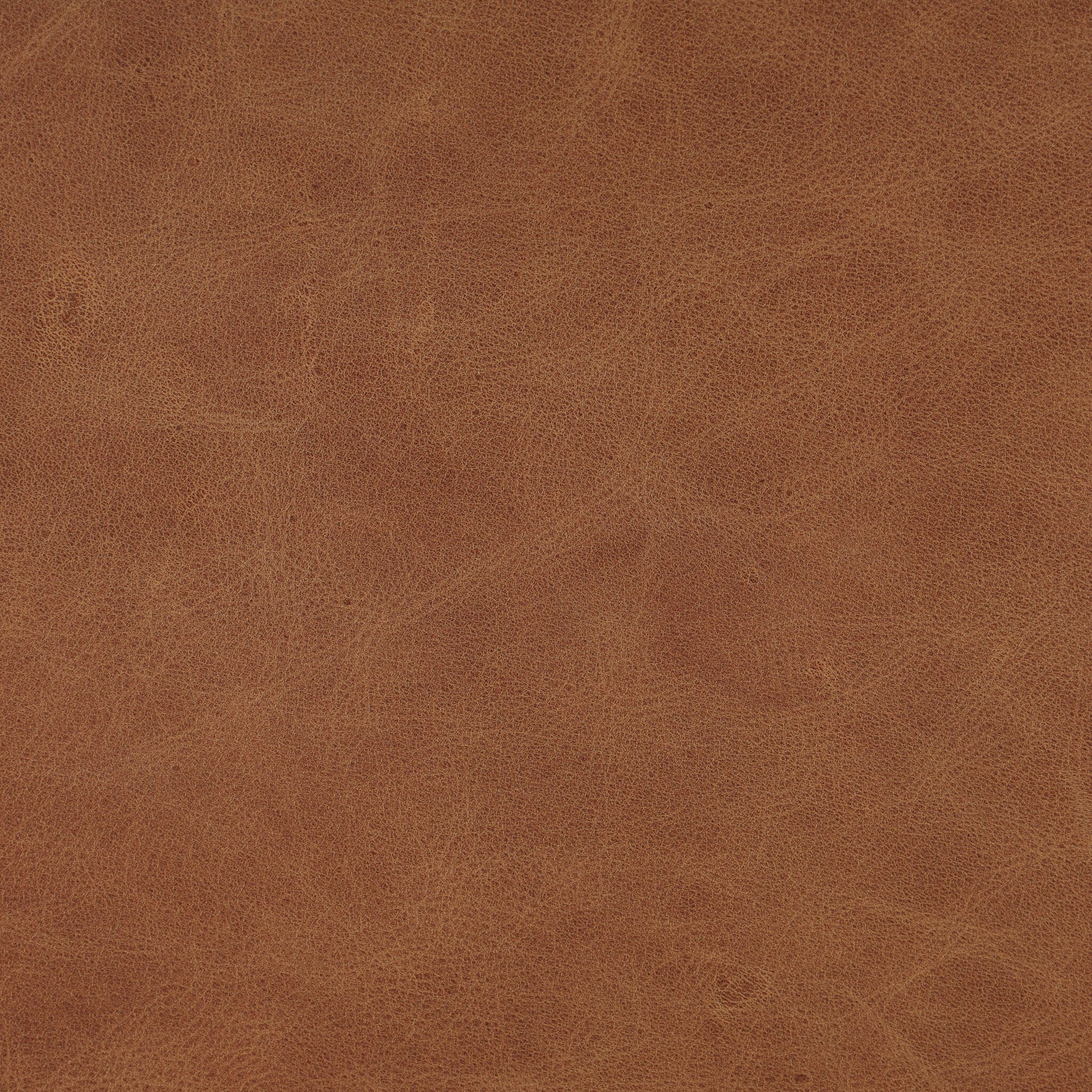 Quill Dining Chair FURNITURE - dining chairs Four Hands