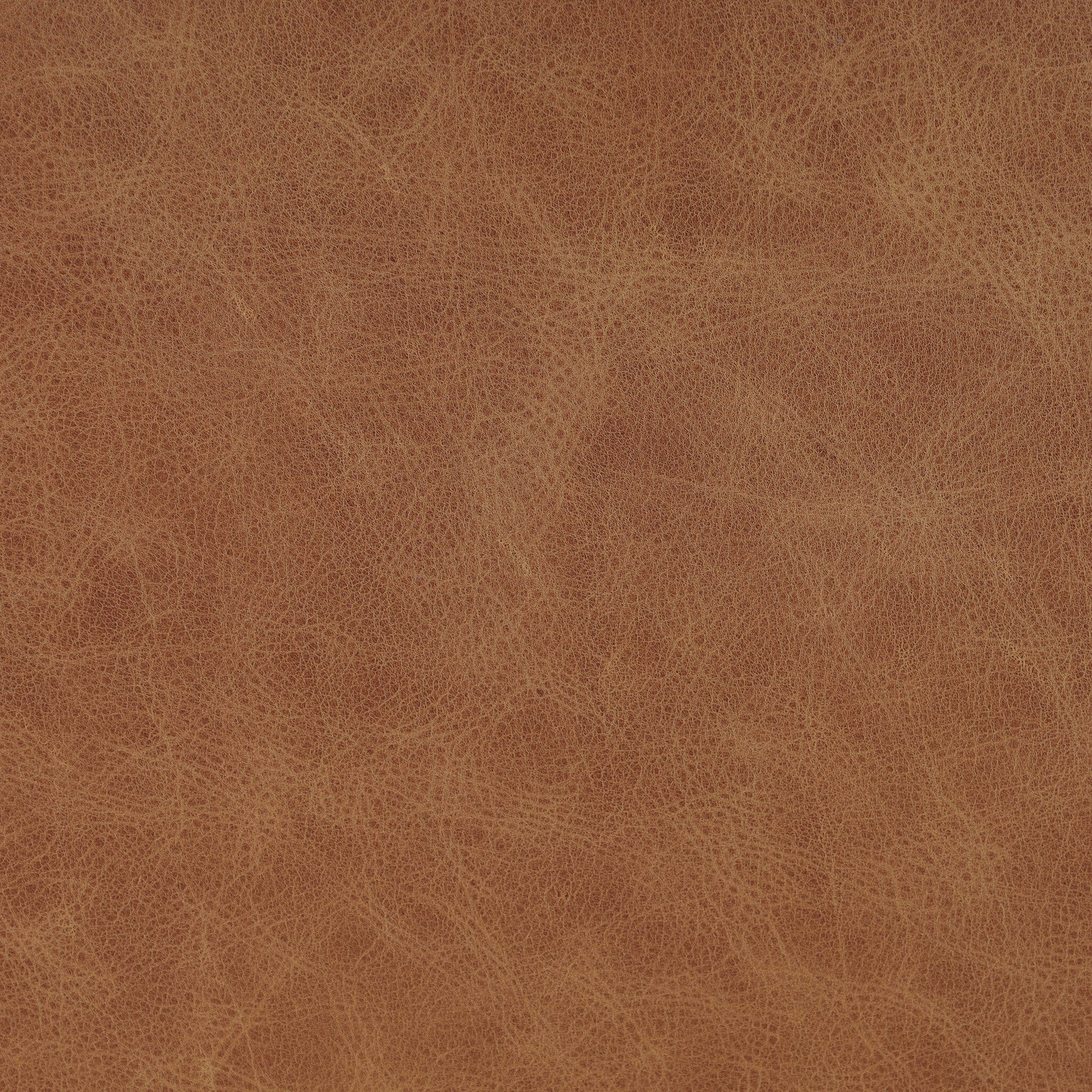 Quill Dining Armchair FURNITURE - dining chairs Four Hands