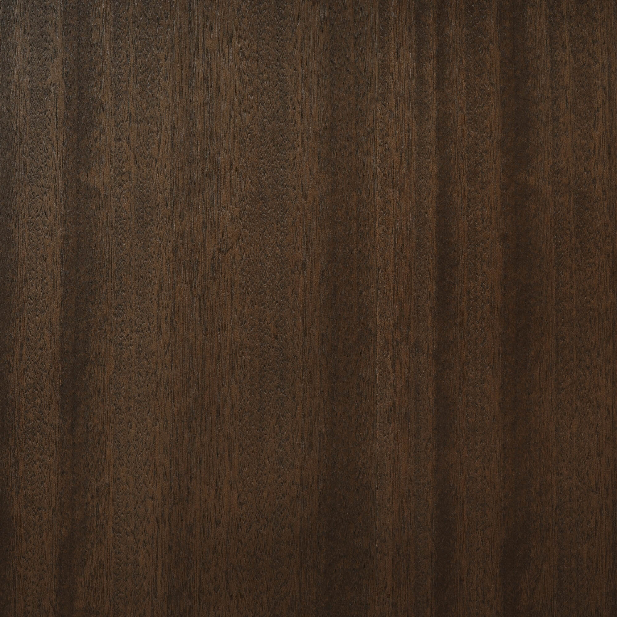 Lumina Glass Cabinet FURNITURE - cabinets Bramble